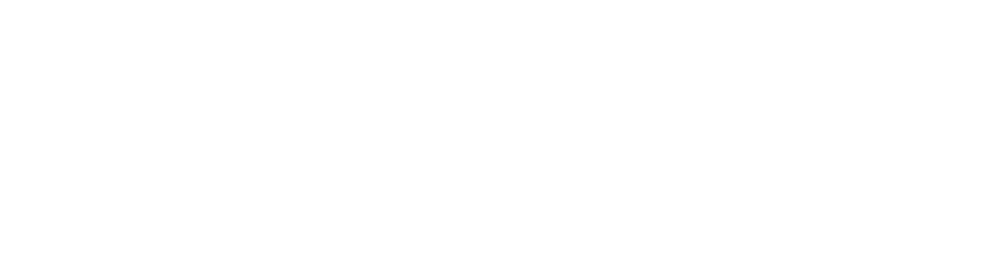 Stuckateur & Trockenbaumeister Nino Renzl Logo